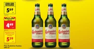 Piwo Budweiser