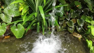 Oczko wodne po wiosennych porządkach będzie wielką ozdobą ogrodu.