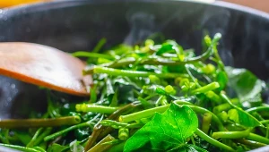 Czy bruscandoli są zdrowe? W jaki sposób się je pozyskuje?