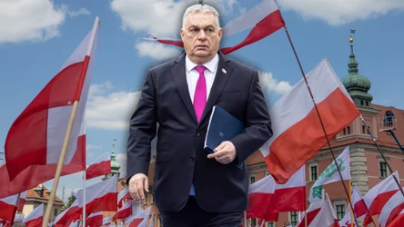 Jak Orban podzielił Polskę