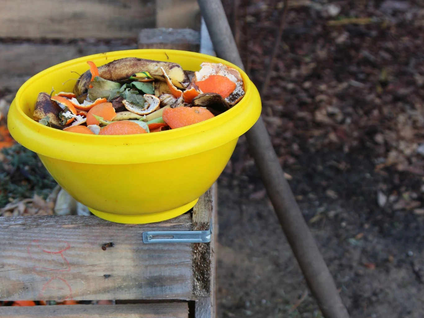 Żółta miska wypełniona odpadkami organicznymi, głównie skórkami owoców i warzyw, ustawiona na rogu drewnianej kompostowni obok metalowego pręta.