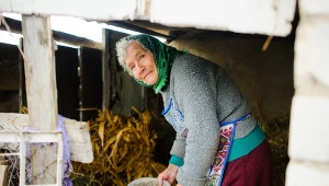 Czy można sprzedawać sąsiadom jajka od własnych kur? Według prawa jest to możliwe po spełnieniu jednego warunku.