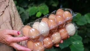 Salmonella w jajach z belgijskiej fermy. Czy sprzedawano je w Polsce?
