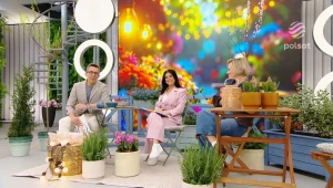 Jak udekorować balkon na wiosnę? 