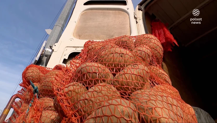 "Wydarzenia": Ziemniaczany problem