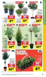 Łap okazje - Carrefour