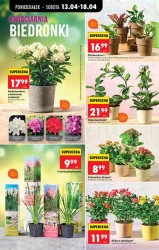 Mistrzowskie cięcie cen mięsa - Biedronka