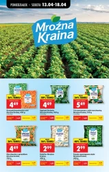 Mistrzowskie cięcie cen mięsa - Biedronka