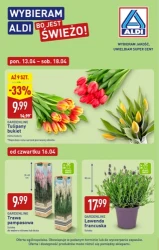 Tydzień pełen jakości i niskich cen - Aldi