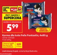 Karma dla kota Felix