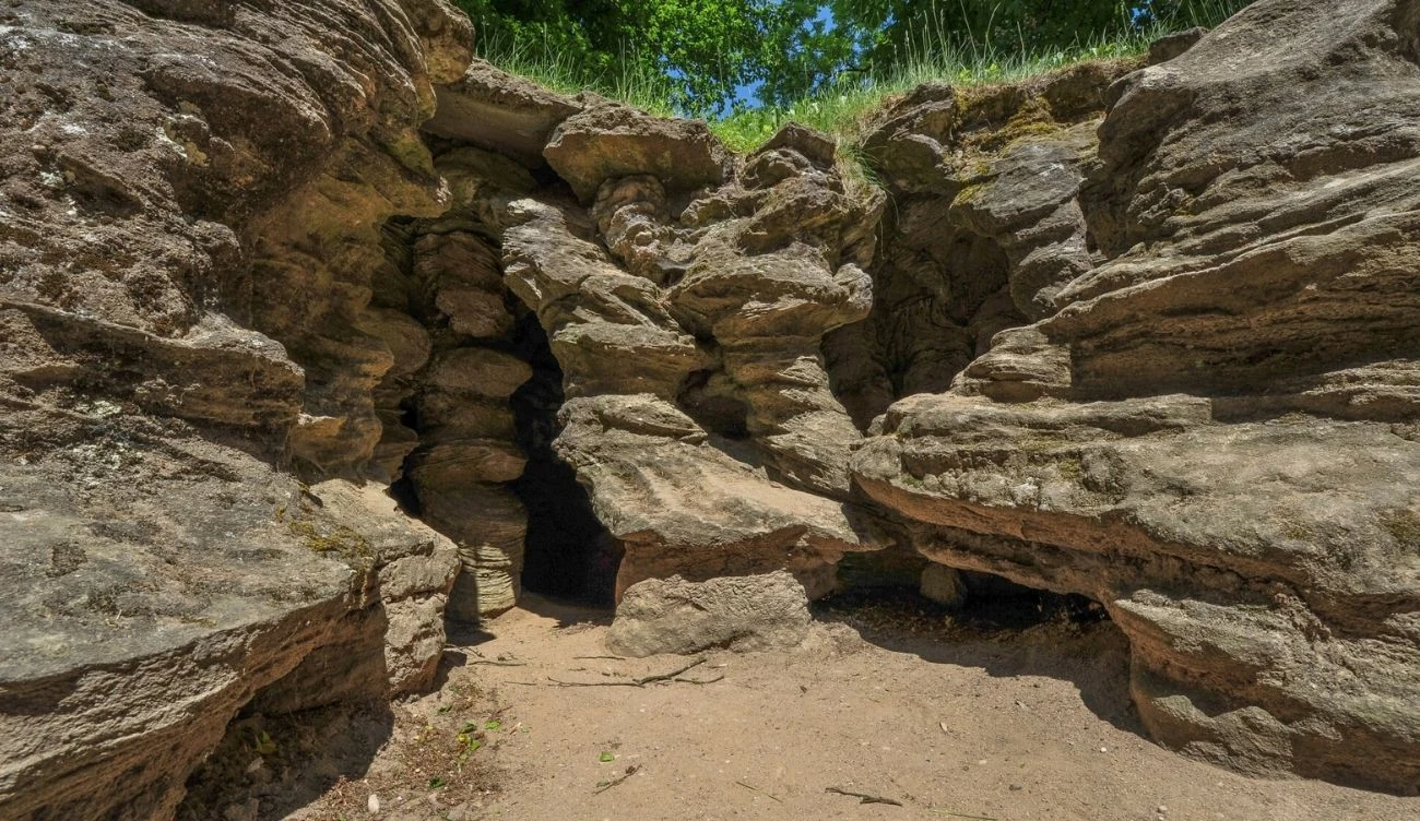 Grota Mechowska to jedyna taka jaskinia w Polsce Wejście do Groty Mechowskiej z widocznymi warstwowymi formacjami skalnymi i zielenią na szczycie skał.