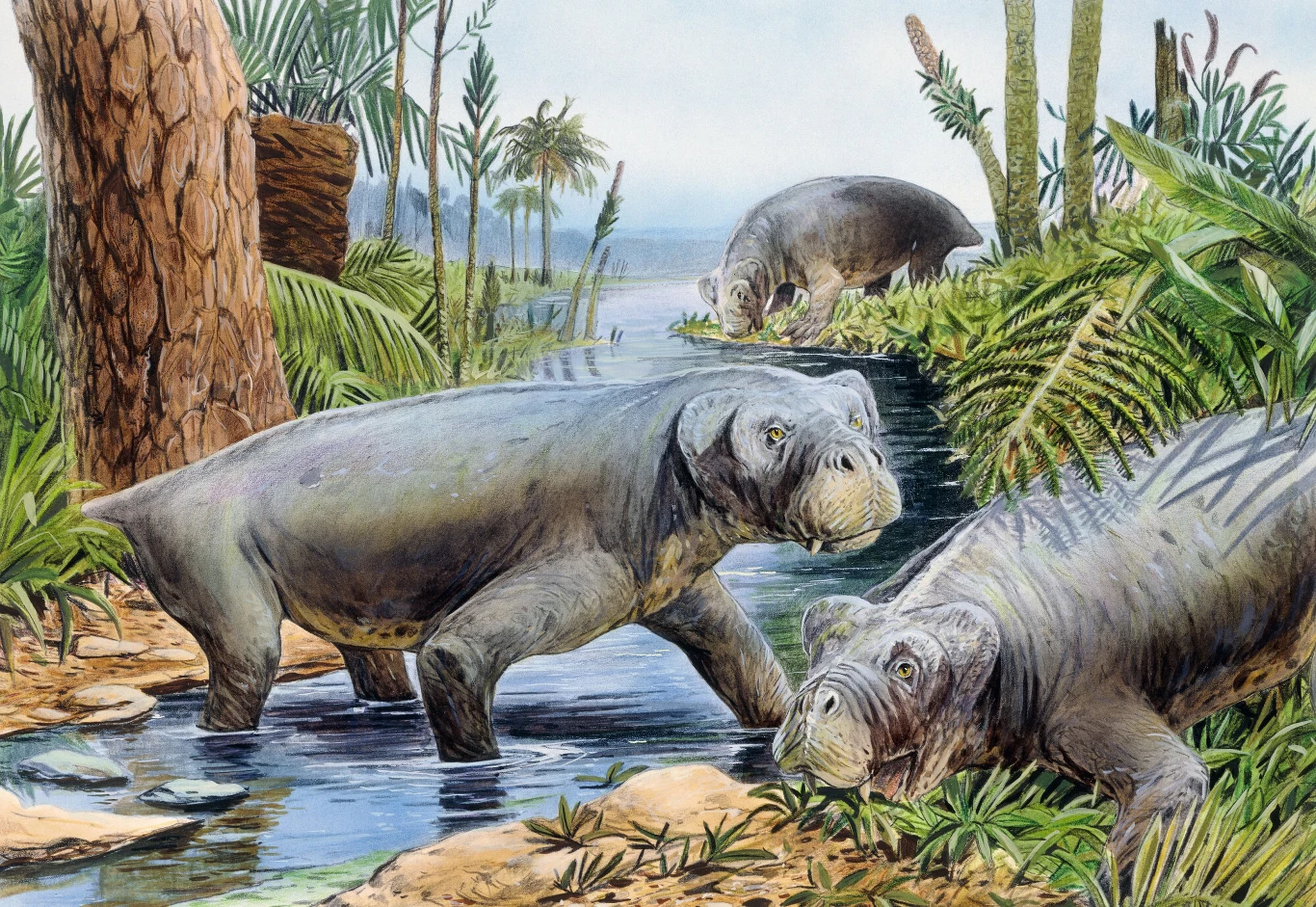 Grupa lystrozaurów żerująca nad wodą. Zwierzęta te należały do gadów ssakokształtnych Trzy duże, prehistoryczne zwierzęta przypominające hipopotamy przemierzają płytki strumień otoczony gęstą roślinnością i wysokimi paprociami; dominuje zielona i brązowa kolorystyka, a tło tworzą wysokie drzewa oraz roślinność tropikalna.