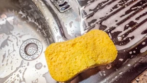 Gdzie wyrzucić zużytą gąbkę do naczyń?