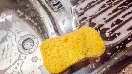 Gdzie wyrzucić zużytą gąbkę do naczyń?