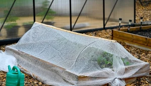 Co wysiewamy do inspektów w kwietniu? Lista jest długa