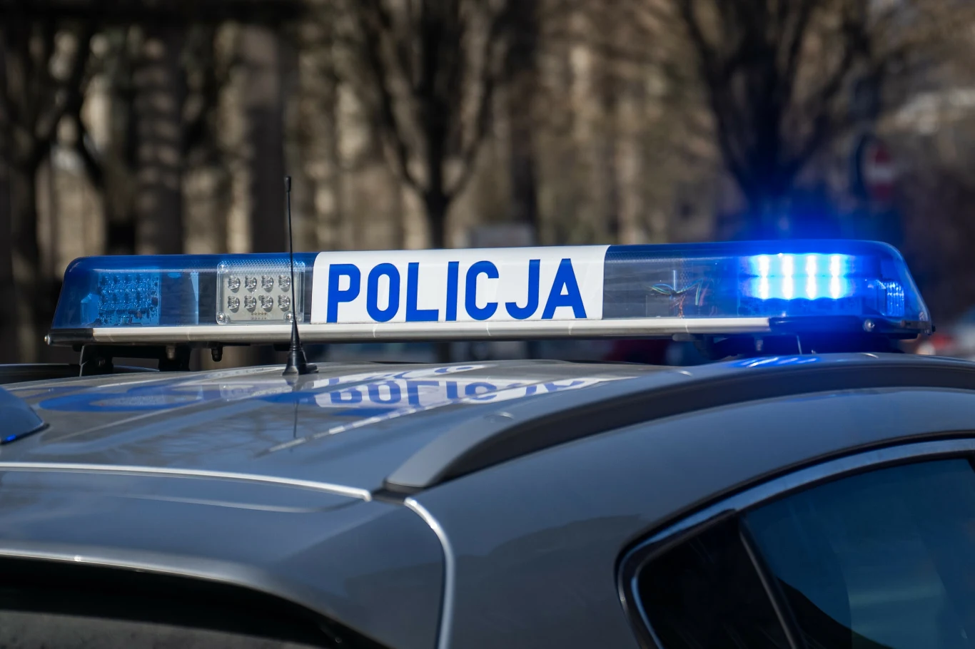 Zabójstwo 26-latka w Bystrzycy Kłodzkiej. Podejrzany Borys B. trafił do aresztu, zdj. ilustracyjne Światła radiowozu