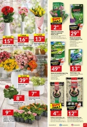 Rozpalamy sezon na grilla - Twój Market