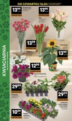 Grill patrol - Delikatesy Centrum