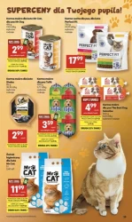 Grill patrol - Delikatesy Centrum