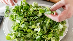 Zielona skarbnica witamin. Dobra na diecie, ochroni serce i zatrzyma młodość