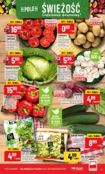 Bogactwo lady - POLOmarket