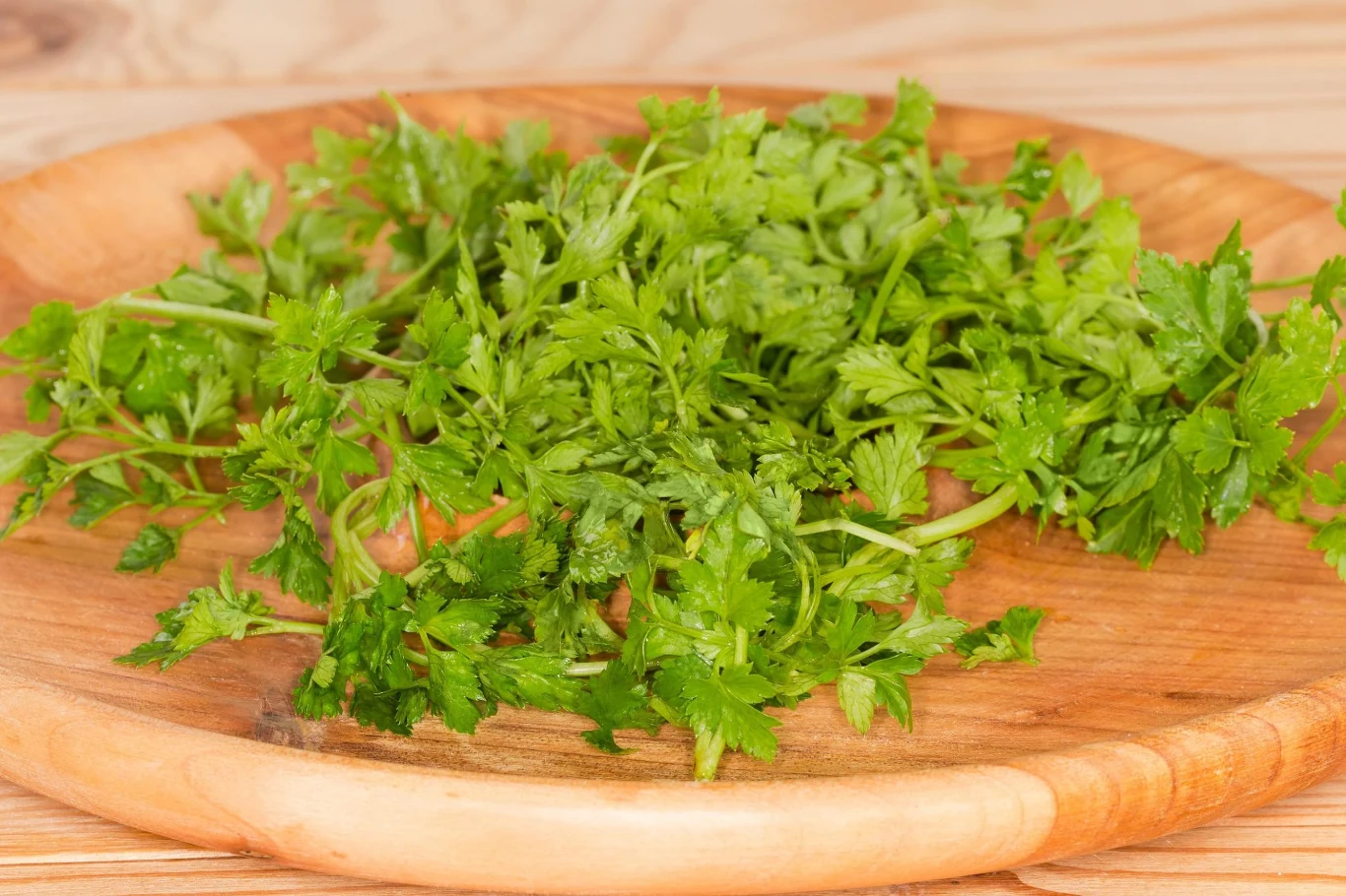 Trybula ogrodowa to świetny dodatek do zup czy sosów Świeża trybula ogrodowa na okrągłym drewnianym talerzu, dodatek do zup i sosów