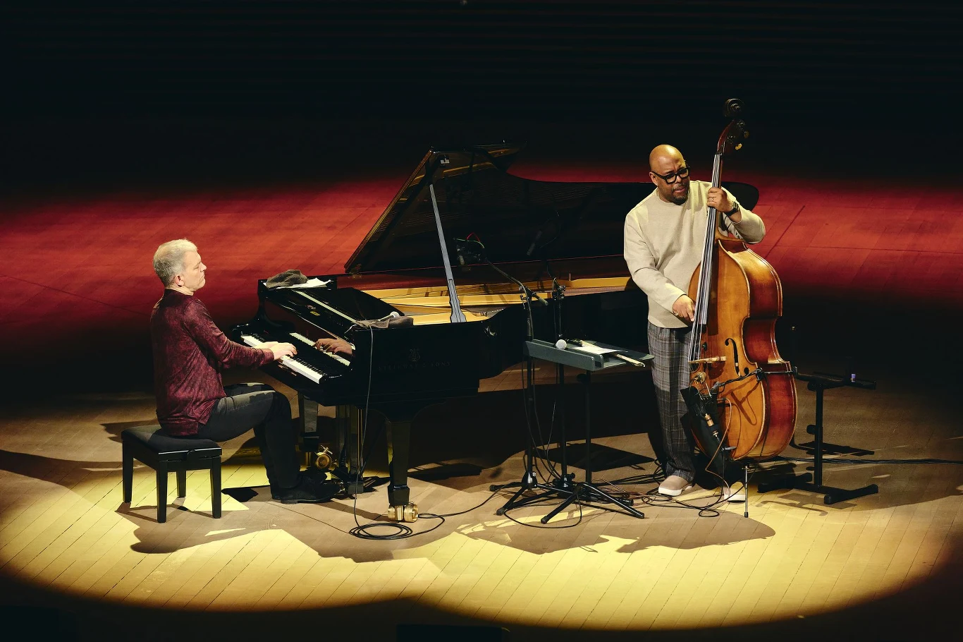 Brad Mehldau i Christian McBride Brad Mehldau gra na fortepianie, Christian McBride na kontrabasie; scena z oświetleniem i mikrofonami.