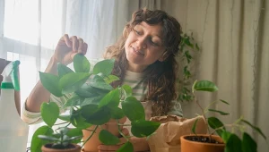 Mała zmiana, duży efekt. Feng shui podpowiada, jak poprawić energię w domu