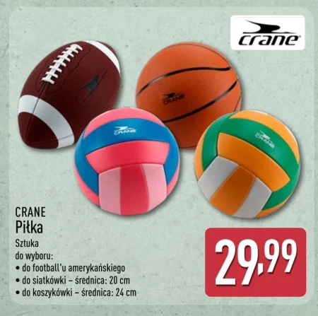 Волейбол Crane