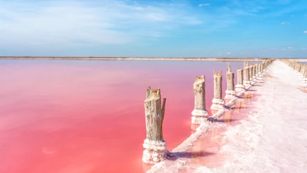 Różowe jezioro zachwyca 