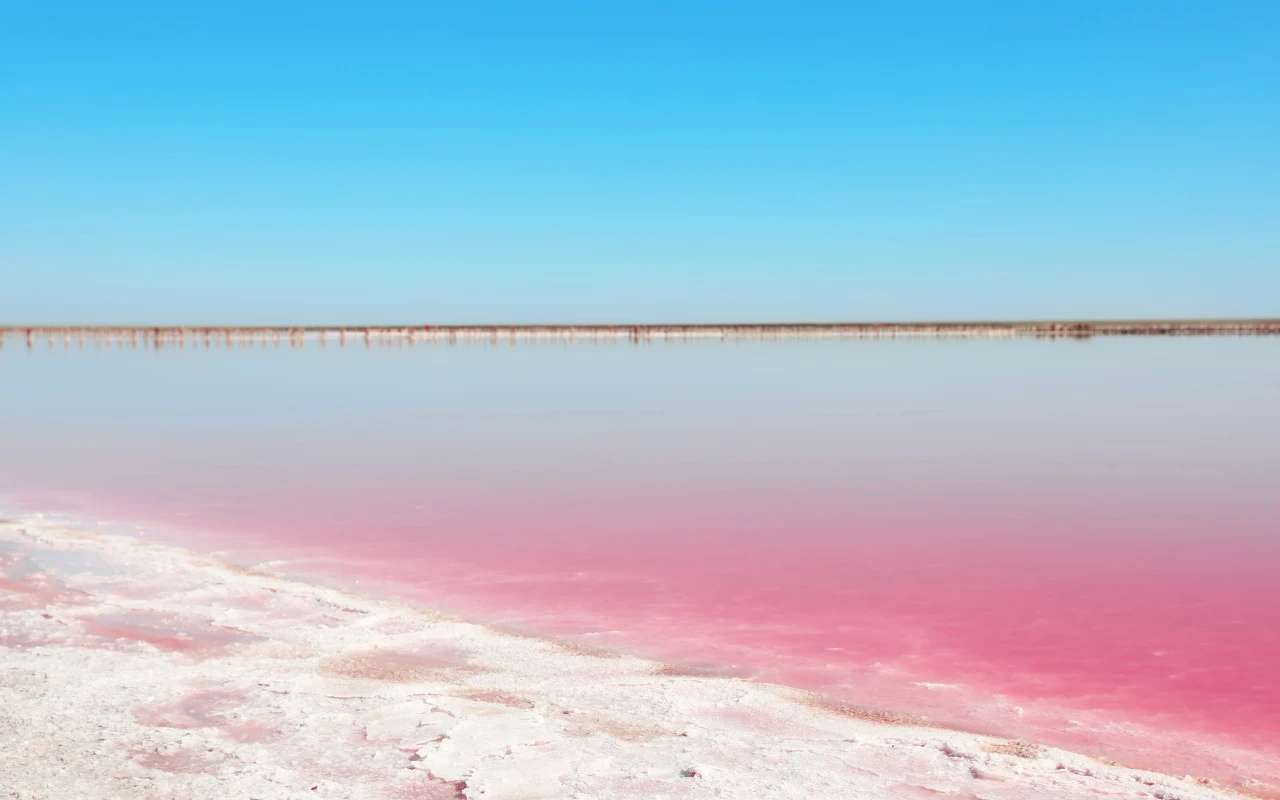 Różowe jezioro z wyraźnie białą linią brzegową, odbijające jasnoniebieskie niebo pod bezchmurnym horyzontem.