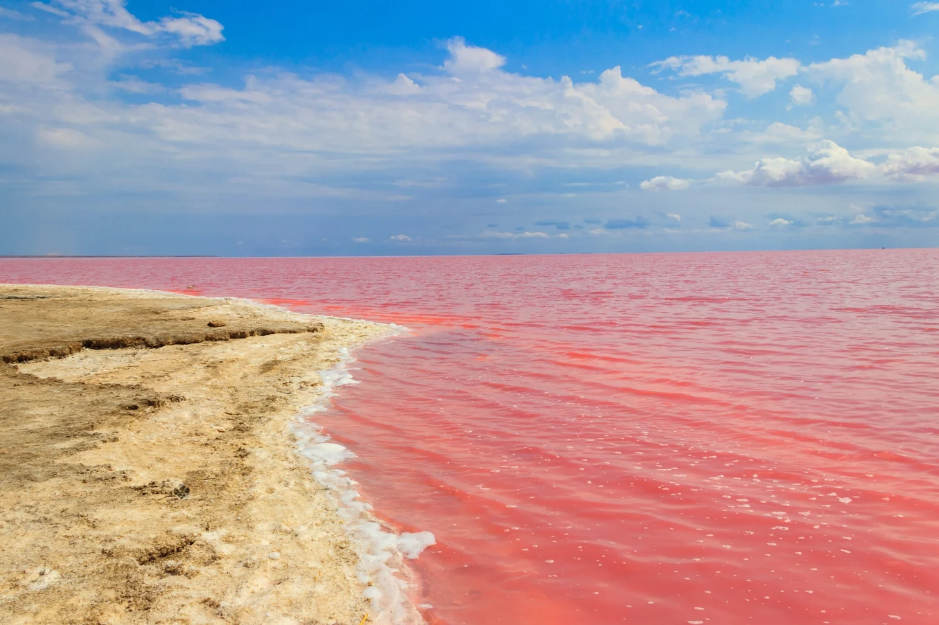 Różowa woda jeziora kontrastuje z piaszczystym brzegiem pod jasnym, lekko zachmurzonym niebem.