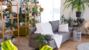 Wnętrzarski hit tego roku. Bije na głowę popularną monsterę i skrzydłokwiat