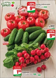 Pełen koszyk oszczędności – Dino