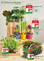 Pełen koszyk oszczędności – Dino