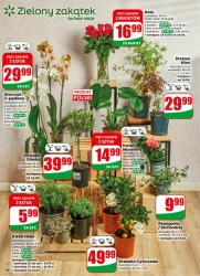 Pełen koszyk oszczędności – Dino