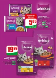 Pełen koszyk oszczędności – Dino