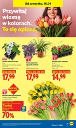 Weekendowe hity dla całej rodziny - Lidl
