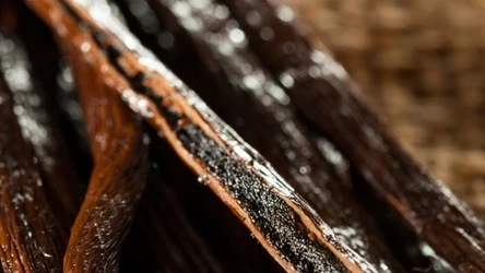 Te ziarenka nie tylko zmieniają smak, ale dodają prozdrowotnych właściwości potrawom.