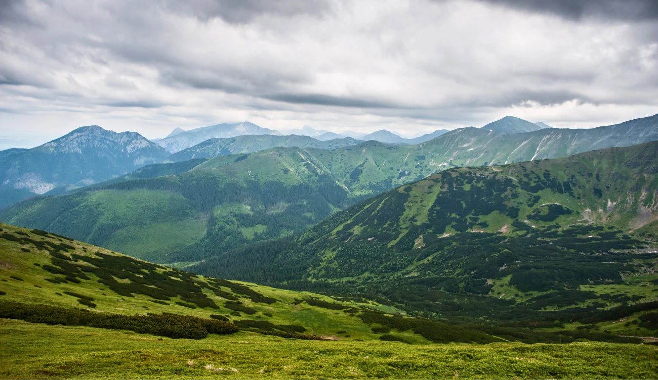 Ile się wchodzi na Trzydniowiański Wierch? rozległe zielone wzgórza porośnięte trawą i kosodrzewiną, w tle masywne szczyty górskie skąpane w lekkiej mgiełce pod pochmurnym niebem
