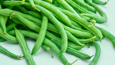 Fasolka szparagowa jest jedną z odmian fasoli zwyczajnej