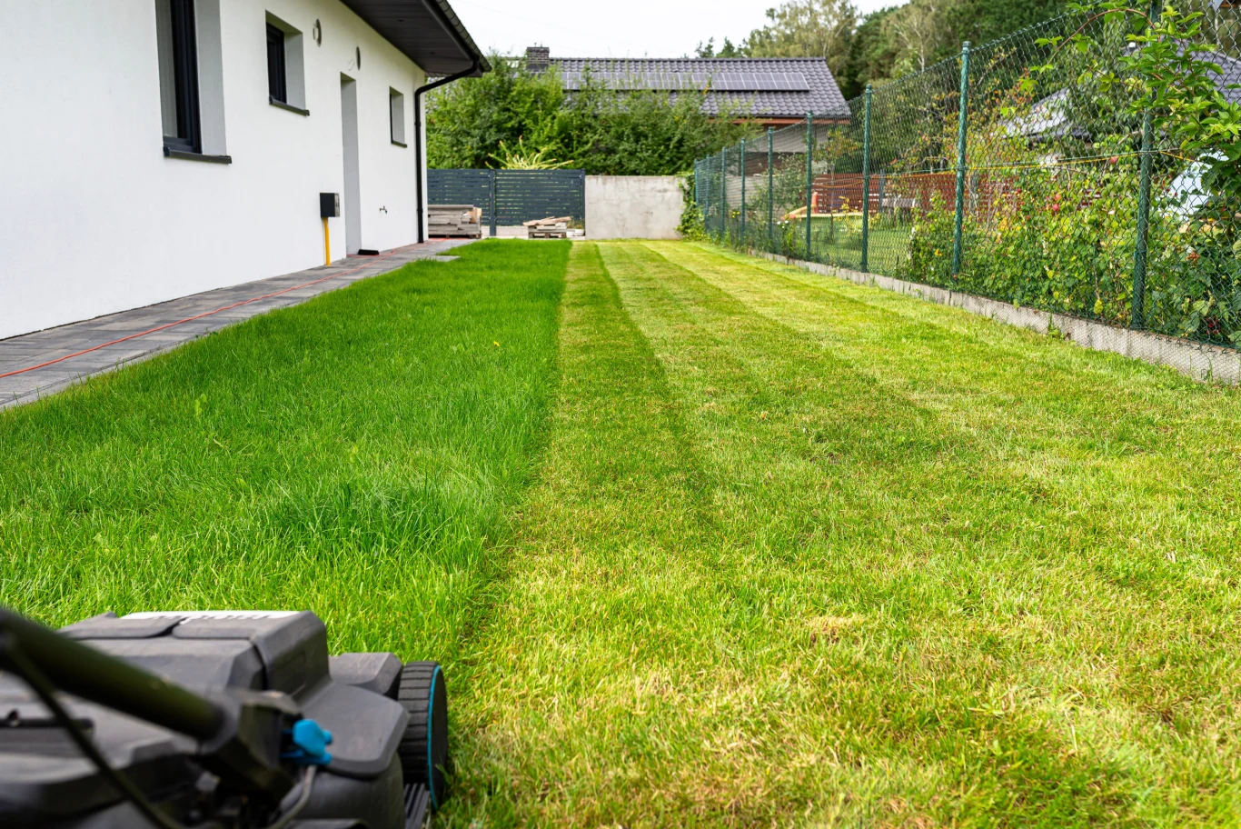 Proste wiosenne zabiegi przywrócą soczystą zieleń na twoim trawniku. Równo przystrzyżony trawnik z widoczną linią między skoszoną a nieskoszoną trawą i kosiarką na pierwszym planie.