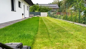 Proste wiosenne zabiegi przywrócą soczystą zieleń na twoim trawniku. 