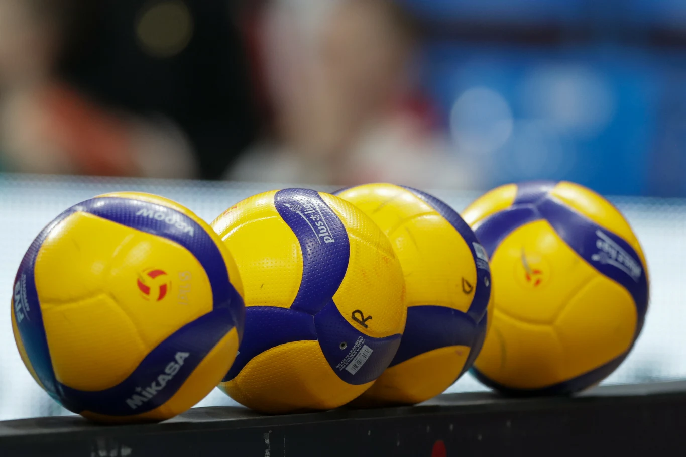 Cztery piłki do siatkówki marki Mikasa ułożone w rzędzie na sportowej ławce, dominują kolory żółty i niebieski z wyraźnym logo producenta.