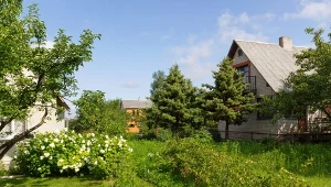 Posadzisz przy płocie i pożałujesz. Te gatunki szybko "wchodzą" do sąsiada