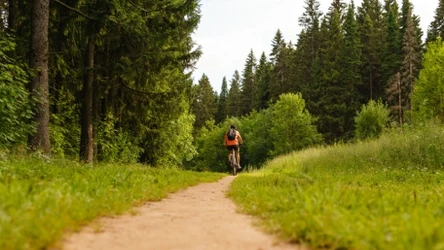 Niedawno otwarto nowy 20-kilometrowy odcinek trasy VeloSkawy. To jedna z najpiękniejszych tras rowerowych w Polsce