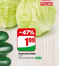 Kapusta biała Polski