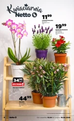 Świeżość w super cenie - Netto