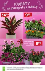 Najlepsze marki w super cenach - Stokrotka