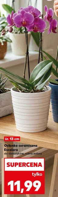 Обкладинка